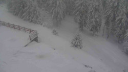 Přístup na běžeckou trať