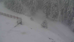 Přístup na běžeckou trať