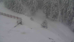 Přístup na běžeckou trať