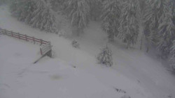 Přístup na běžeckou trať