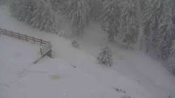 Přístup na běžeckou trať