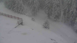 Přístup na běžeckou trať