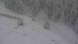 Přístup na běžeckou trať