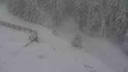 Přístup na běžeckou trať