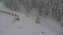 Přístup na běžeckou trať