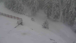 Přístup na běžeckou trať