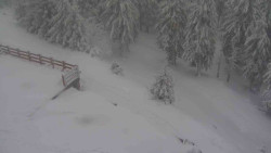 Přístup na běžeckou trať