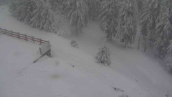 Přístup na běžeckou trať