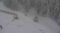 Přístup na běžeckou trať