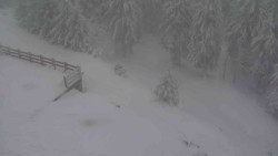 Přístup na běžeckou trať