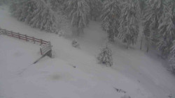 Přístup na běžeckou trať