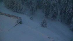 Přístup na běžeckou trať