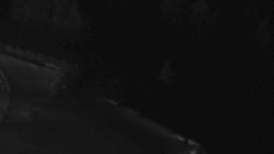 Přístup na běžeckou trať