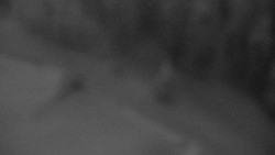 Přístup na běžeckou trať