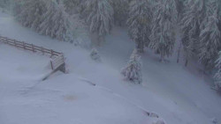 Přístup na běžeckou trať