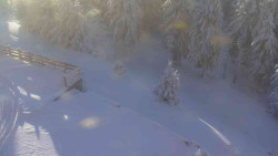 Přístup na běžeckou trať