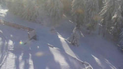 Přístup na běžeckou trať