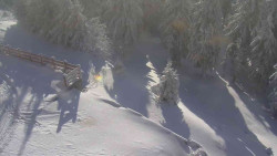 Přístup na běžeckou trať