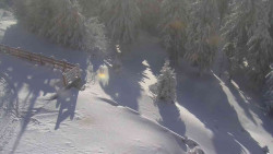 Přístup na běžeckou trať