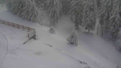 Přístup na běžeckou trať