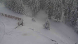 Přístup na běžeckou trať