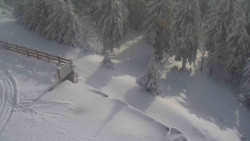 Přístup na běžeckou trať