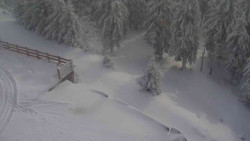 Přístup na běžeckou trať