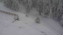 Přístup na běžeckou trať