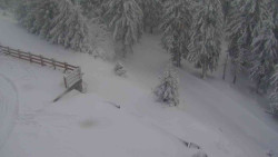 Přístup na běžeckou trať