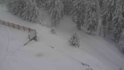 Přístup na běžeckou trať