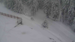 Přístup na běžeckou trať