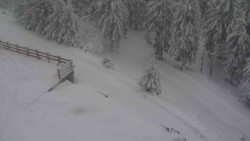 Přístup na běžeckou trať