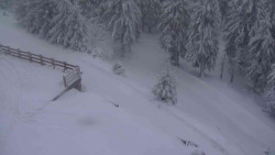 Přístup na běžeckou trať