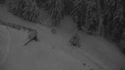 Přístup na běžeckou trať