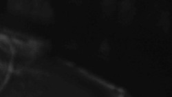 Přístup na běžeckou trať