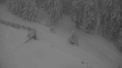 Přístup na běžeckou trať