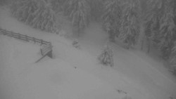 Přístup na běžeckou trať