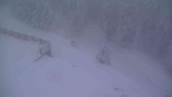 Přístup na běžeckou trať