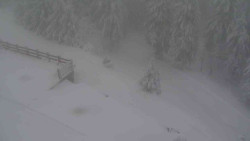 Přístup na běžeckou trať