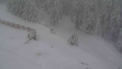 Přístup na běžeckou trať