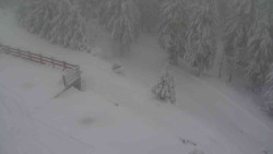 Přístup na běžeckou trať