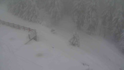 Přístup na běžeckou trať