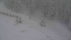 Přístup na běžeckou trať