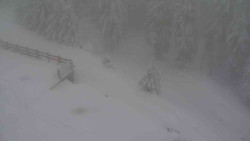 Přístup na běžeckou trať