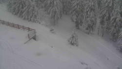 Přístup na běžeckou trať