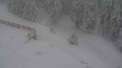 Přístup na běžeckou trať