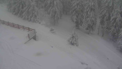 Přístup na běžeckou trať