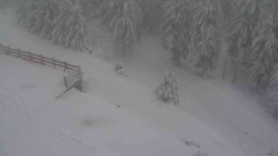 Přístup na běžeckou trať