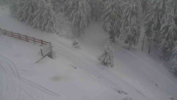 Přístup na běžeckou trať