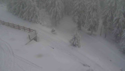 Přístup na běžeckou trať